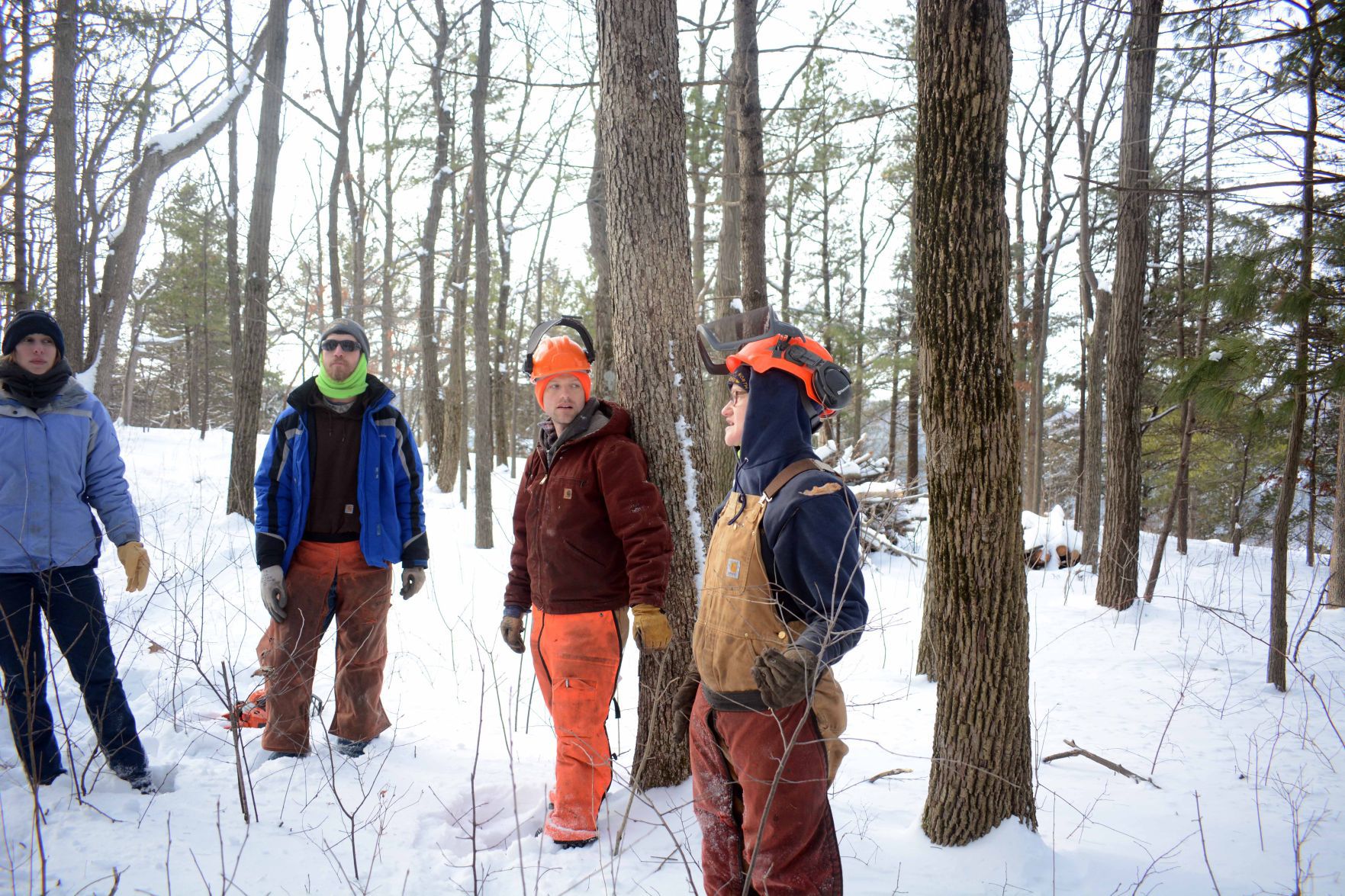Devil's Lake east bluff stewardship work